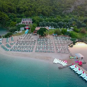 3* Отель S3 Seahorse Club
